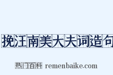 挽汪南美大夫词造句是什么意思的图片